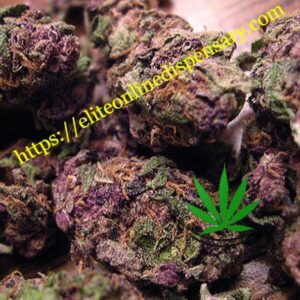 buy purple haze online | legit online dispensary shipping worldwide